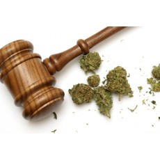 Judge Allows Murderer To Use Medical Marijuana To Stay Calm